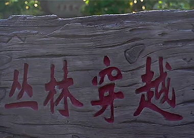 步步惊心