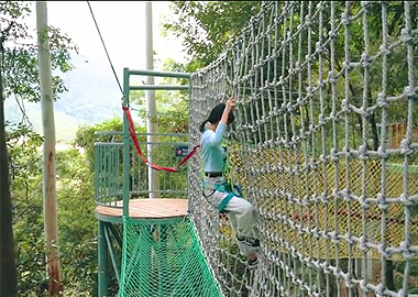 丛林闯关