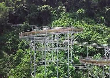 Rain forest drift